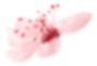 3 (Demo)